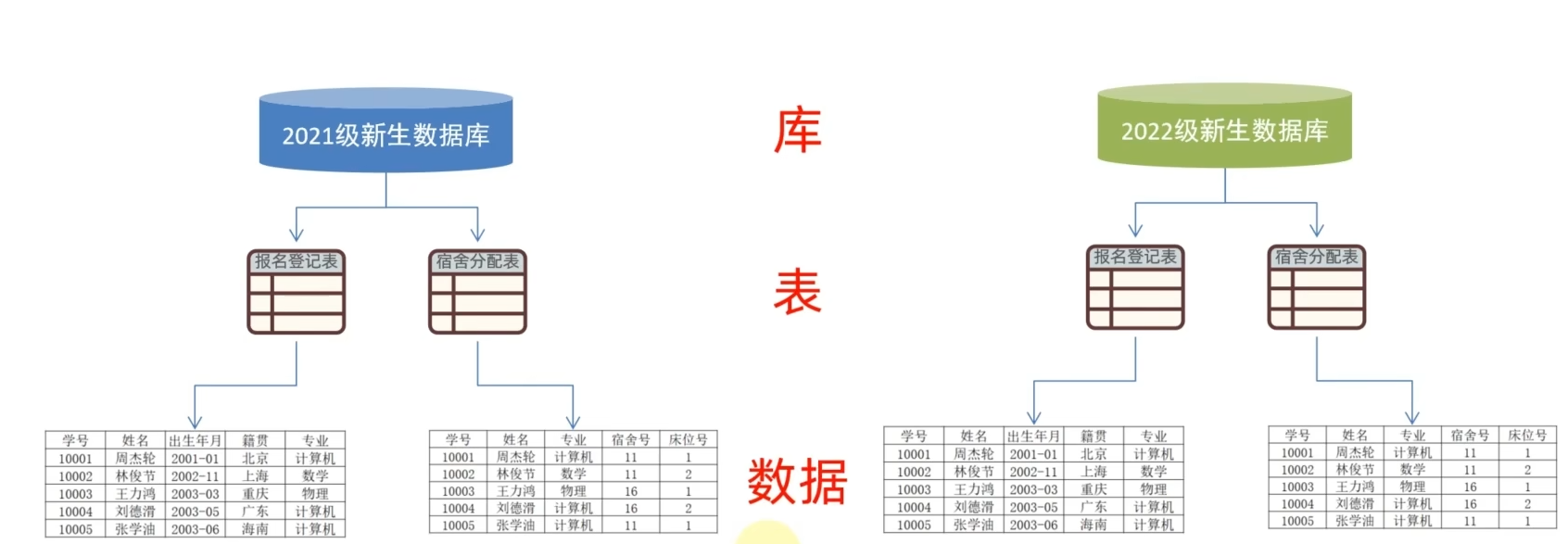 Data Model of database